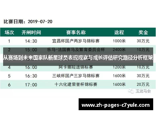 从赛场到未来国家队新星球员表现观察与成长评估研究路径分析框架 从赛场到未来国家队新星球员表现观察与成长评估研究路径分析框架